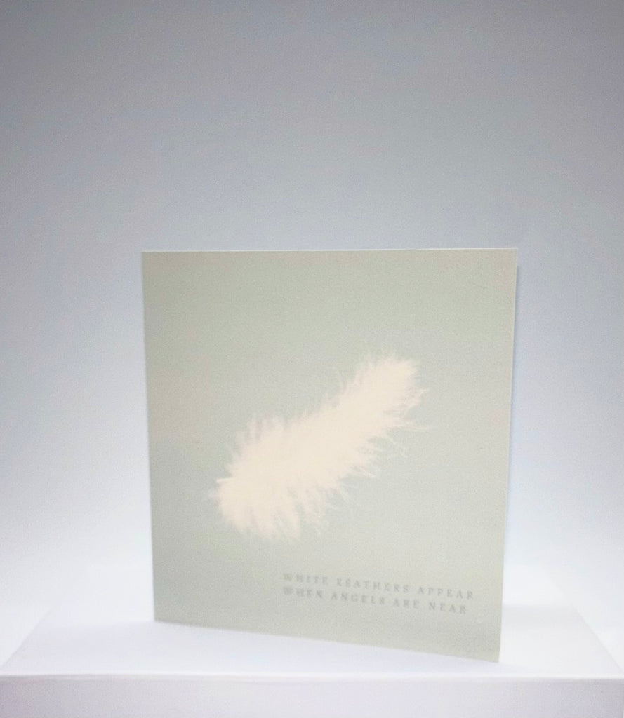 The Love & Light Encouragement Cards - White Feather