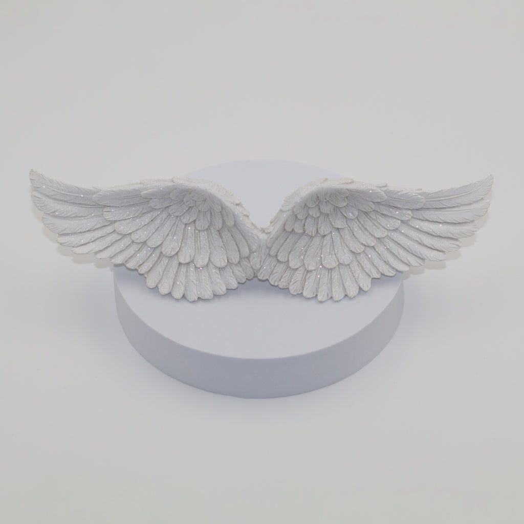 Sparkly Angel Wings - wall hanging